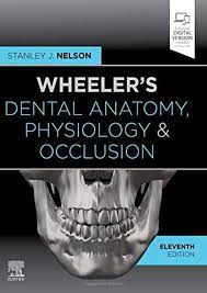 Wheeler's Dental Anatomy, Physiology & Occlusion Ed 11