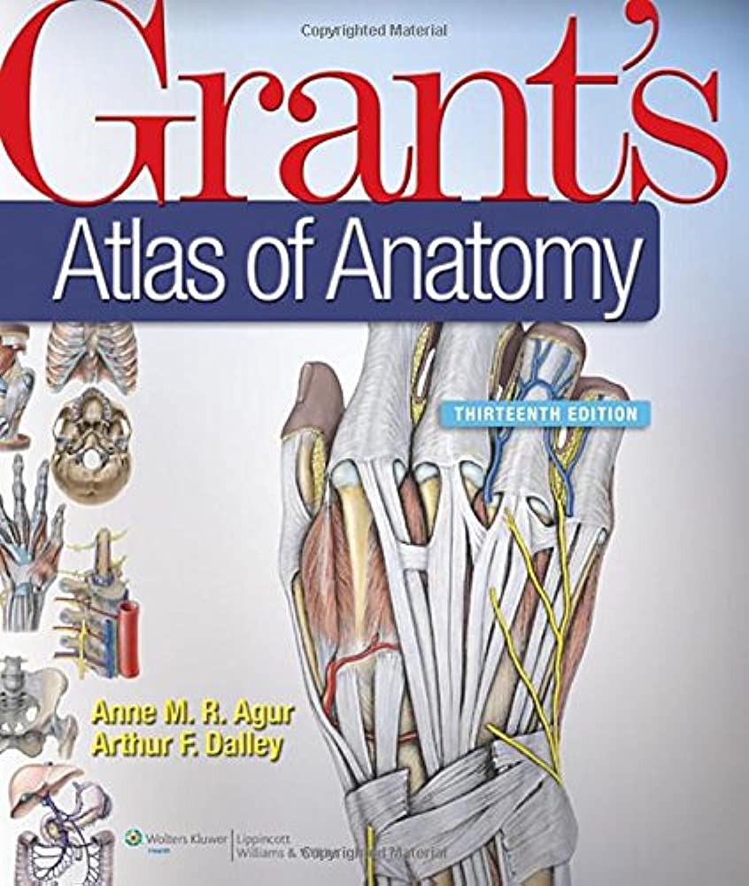 Grant's Atlas of Anatomy Ed 13