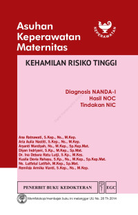 Image of Asuhan Keperawatan Maternitas Kehamilan Risiko Tinggi (Diagnosis NANDA-I, Hasil NOC, Tindakan NIC)