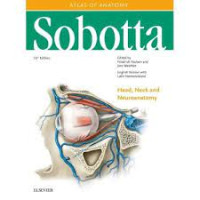 Image of Sobotta Atlas of Anatomy : Head, Neck and Neuroanatomy Ed 16