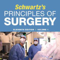 Image of Schwartz's Principles of Surgery Ed 11 Vol 2