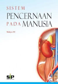 Image of Sistem pencernaan pada manusia